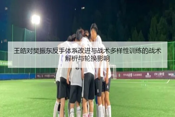 王皓对樊振东反手体系改进与战术多样性训练的战术解析与轮换影响